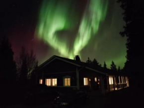 Arctic Mustikka in Muonio